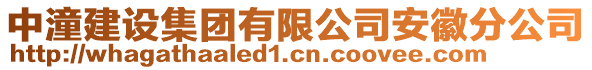 中潼建設(shè)集團(tuán)有限公司安徽分公司