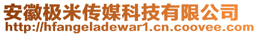 安徽極米傳媒科技有限公司