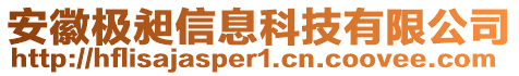 安徽極昶信息科技有限公司