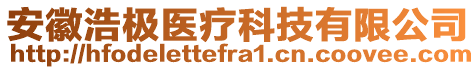 安徽浩極醫(yī)療科技有限公司