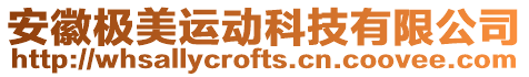 安徽極美運(yùn)動科技有限公司