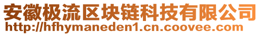 安徽極流區(qū)塊鏈科技有限公司