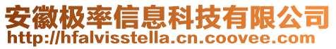 安徽極率信息科技有限公司