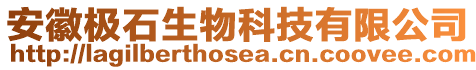 安徽極石生物科技有限公司