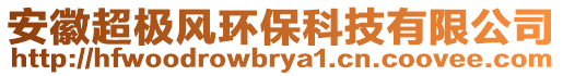 安徽超極風(fēng)環(huán)保科技有限公司