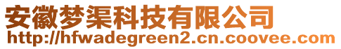 安徽夢渠科技有限公司