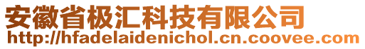 安徽省極匯科技有限公司