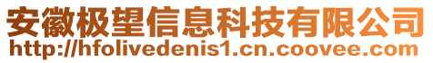 安徽極望信息科技有限公司