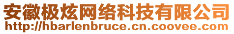 安徽極炫網(wǎng)絡(luò)科技有限公司