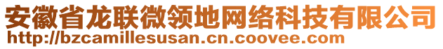 安徽省龍聯(lián)微領(lǐng)地網(wǎng)絡(luò)科技有限公司