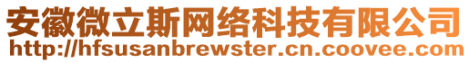 安徽微立斯網(wǎng)絡(luò)科技有限公司