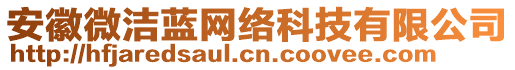 安徽微潔藍(lán)網(wǎng)絡(luò)科技有限公司