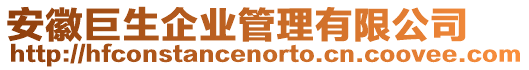 安徽巨生企業管理有限公司