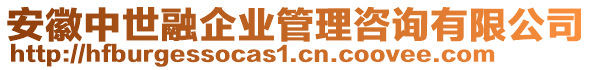 安徽中世融企業(yè)管理咨詢有限公司