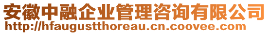 安徽中融企業(yè)管理咨詢有限公司