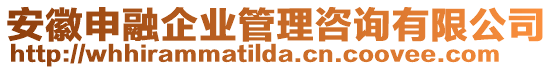 安徽申融企業(yè)管理咨詢有限公司