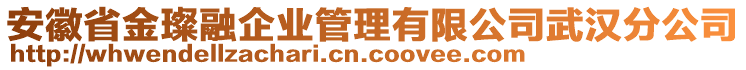 安徽省金璨融企業(yè)管理有限公司武漢分公司