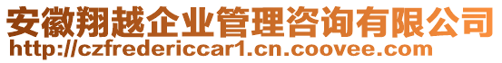 安徽翔越企業(yè)管理咨詢有限公司