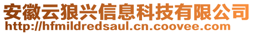 安徽云狼興信息科技有限公司