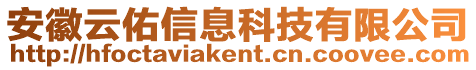 安徽云佑信息科技有限公司