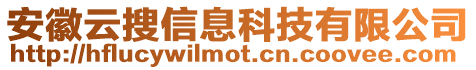 安徽云搜信息科技有限公司