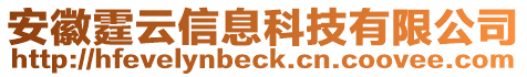 安徽霆云信息科技有限公司