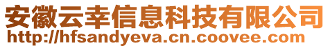 安徽云幸信息科技有限公司