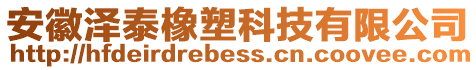 安徽澤泰橡塑科技有限公司