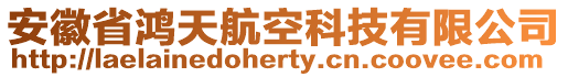 安徽省鴻天航空科技有限公司