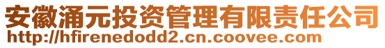 安徽涌元投資管理有限責任公司