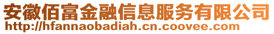 安徽佰富金融信息服務(wù)有限公司