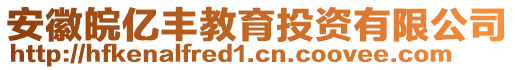 安徽皖億豐教育投資有限公司