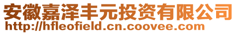 安徽嘉澤豐元投資有限公司