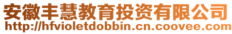 安徽豐慧教育投資有限公司