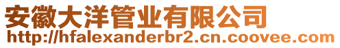 安徽大洋管業(yè)有限公司