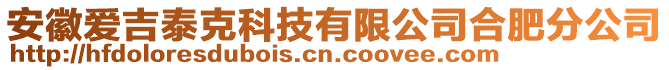 安徽愛吉泰克科技有限公司合肥分公司