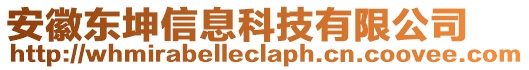 安徽东坤信息科技有限公司