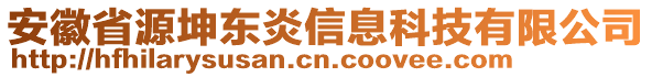 安徽省源坤东炎信息科技有限公司