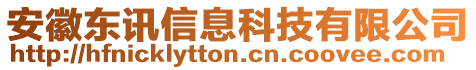 安徽東訊信息科技有限公司