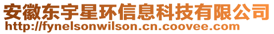 安徽东宇星环信息科技有限公司