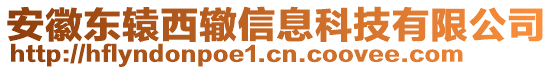 安徽東轅西轍信息科技有限公司