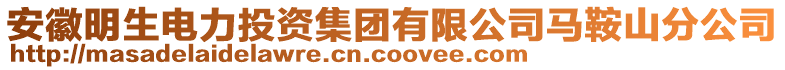 安徽明生電力投資集團(tuán)有限公司馬鞍山分公司