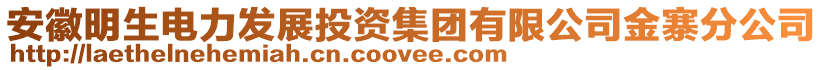 安徽明生電力發(fā)展投資集團(tuán)有限公司金寨分公司