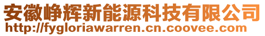 安徽峥辉新能源科技有限公司