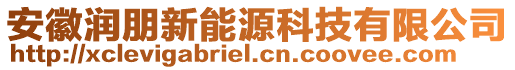 安徽润朋新能源科技有限公司