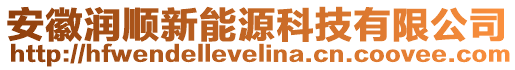 安徽潤順新能源科技有限公司