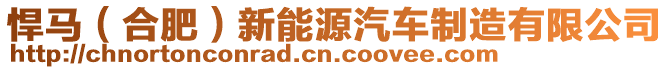 悍馬（合肥）新能源汽車制造有限公司
