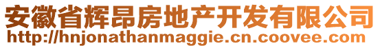 安徽省輝昂房地產(chǎn)開發(fā)有限公司