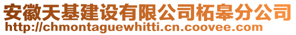 安徽天基建設(shè)有限公司柘皋分公司