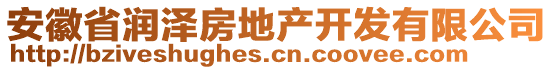 安徽省潤(rùn)澤房地產(chǎn)開發(fā)有限公司